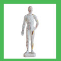 11 &quot;Human Acupuncture Body Points Model, modelo de acupuntura humana china